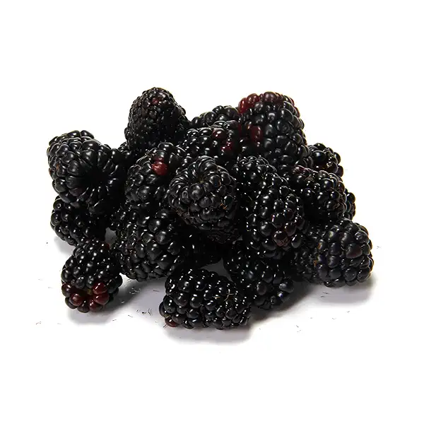 Organic Blackberries at Whole Foods Market