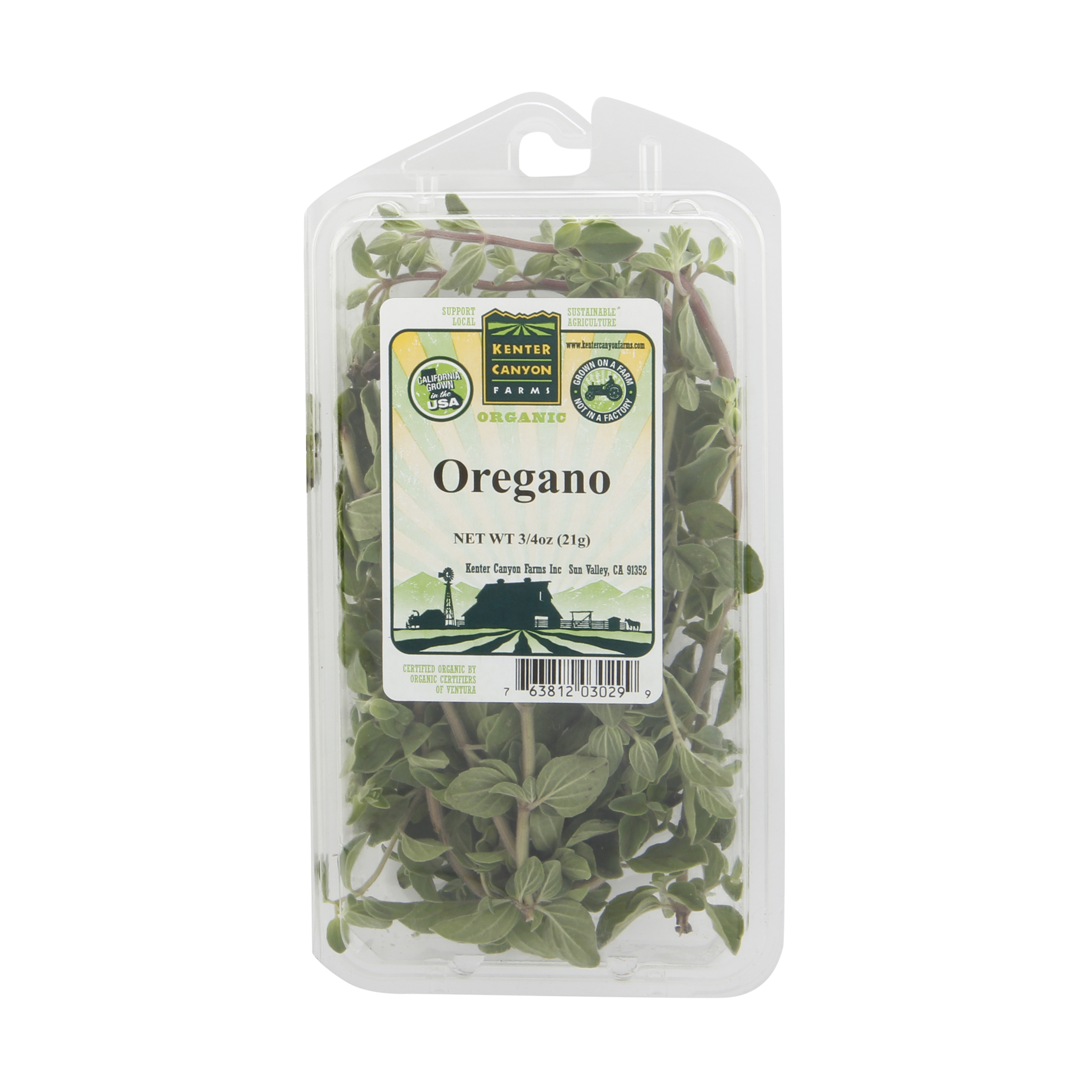 Fresh Oregano