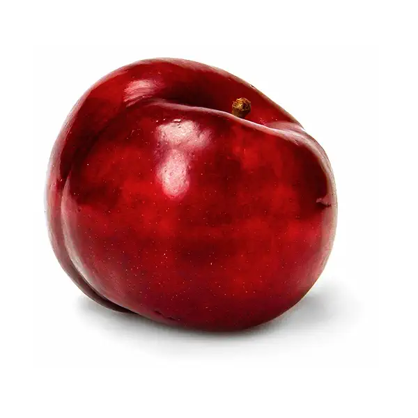 Organic Red Plum 2