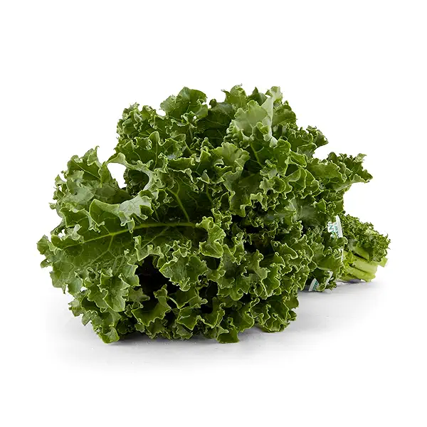 Organic Green Kale 1