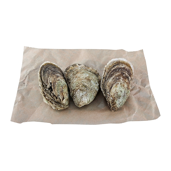 Atlantic Blue Point Oysters at Whole Foods Market