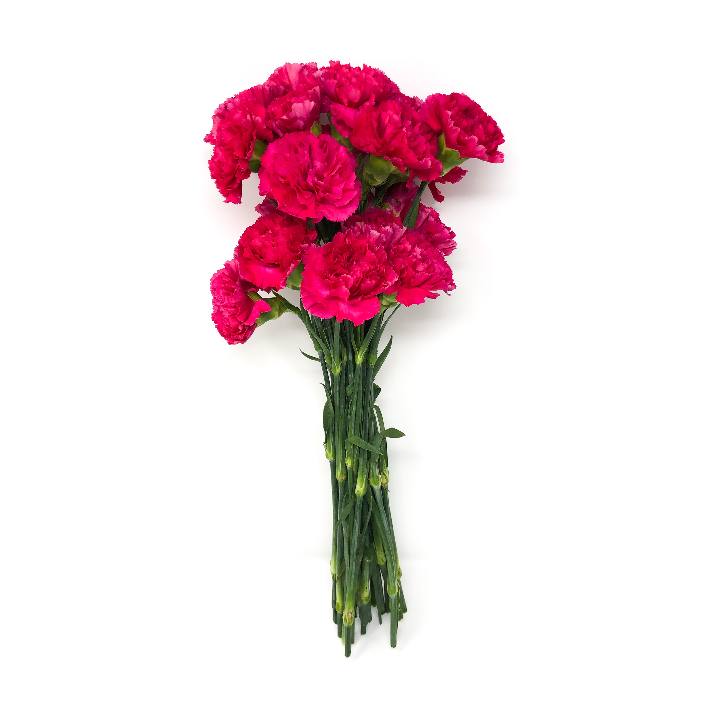 Carnation Bouquet