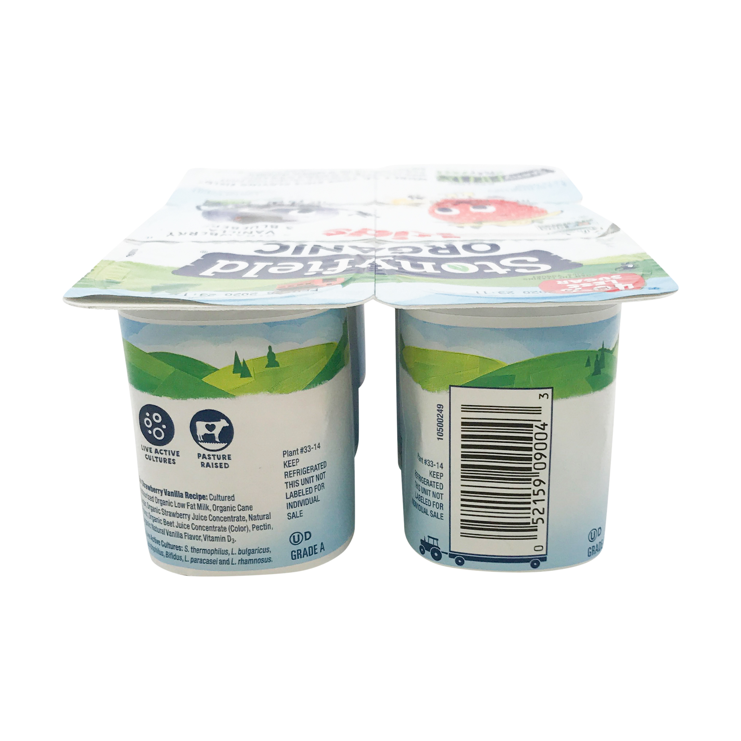 Yokids Blueberry Strawberry Vanilla Low Fat Yogurt 1 5 Lb At Whole Foods Market