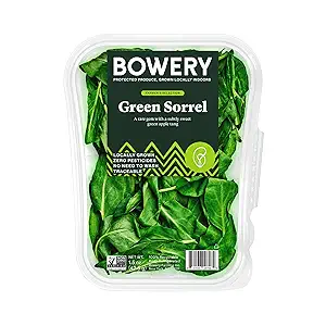 Green Sorrel Salad Greens