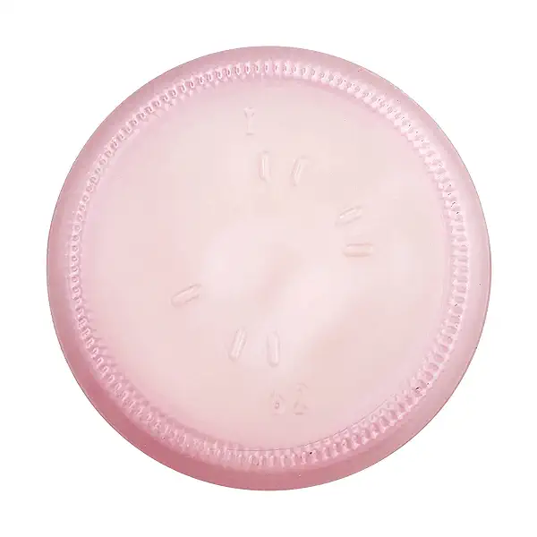 Snow Maiden Sake 10