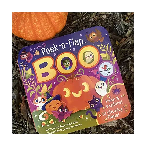 Boo Book, 1 EA 5