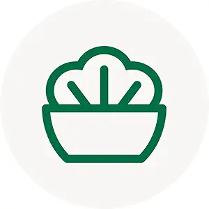 Green Bean Casserole