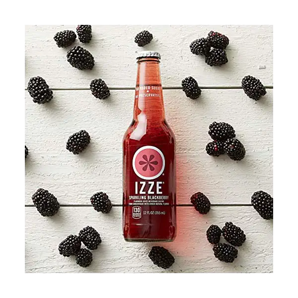 Sparkling Blackberry Juice 4 Count, 12 FZ 2