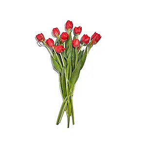 Novelty Tulips 10 Stem