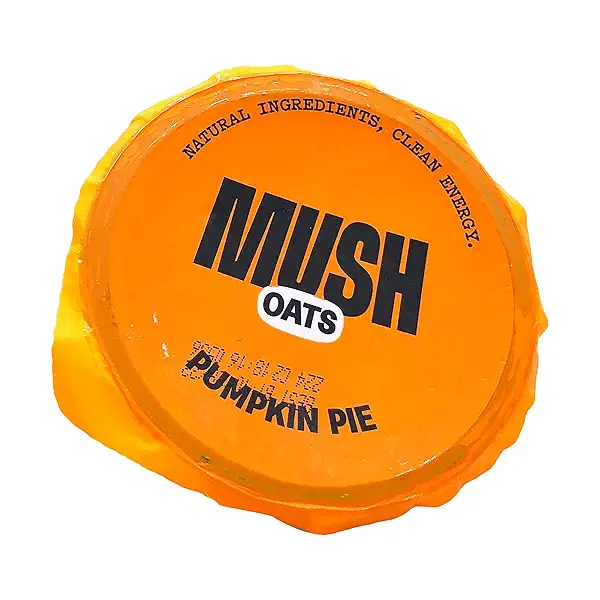 Pumpkin Pie Dairy Free Yogurt, 5 oz 9
