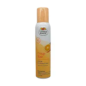 Orange Air Freshener