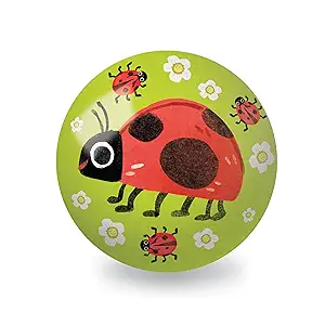 BALL INDOOR FUN 4" LADYBUG