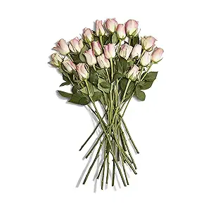 Floral, Rose 16 Stems