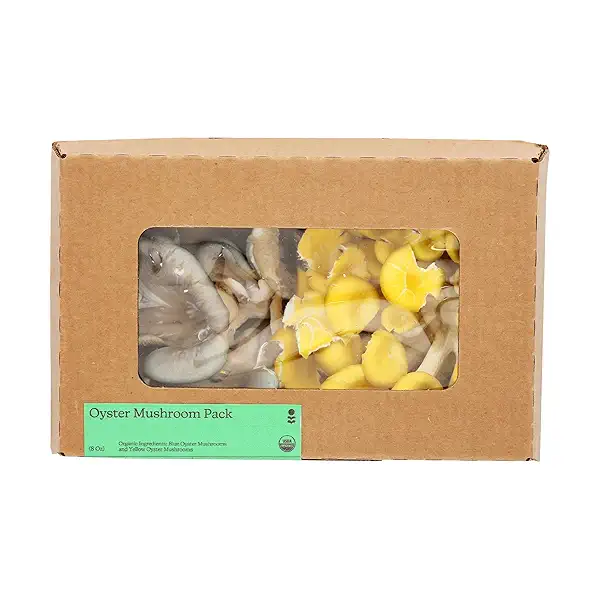 MUSHROOMS OYSTER 1