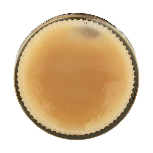 WHIPPED HONEY CINNAMON 8