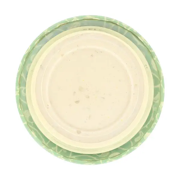SOUR CREAM & ONION DAIRY-FREE DIP 7