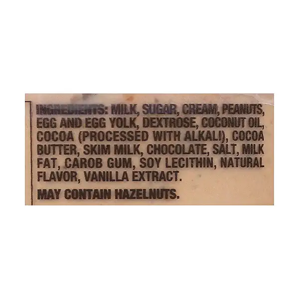 Talenti® Chocolate Peanut Butter Cup Gelato Ice Cream, 1 each 9