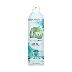 Eucalyptus Mint & Thyme Disinfectant Spray, 13.9 oz
