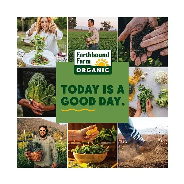 Organic Spinach 5