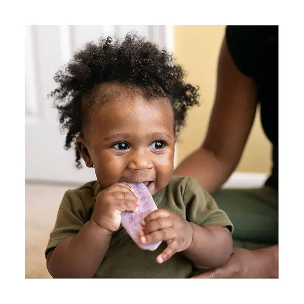 Organics Organic Teether Crackers Gluten Free Strawberry & Beet with Amaranth 12-0.14 oz Packs UNIT 5