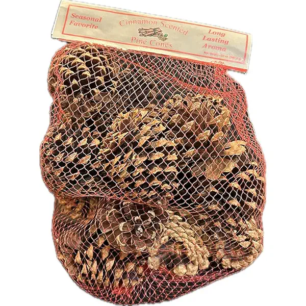 Cinnamon Scented Pinecones, 1 EA 1