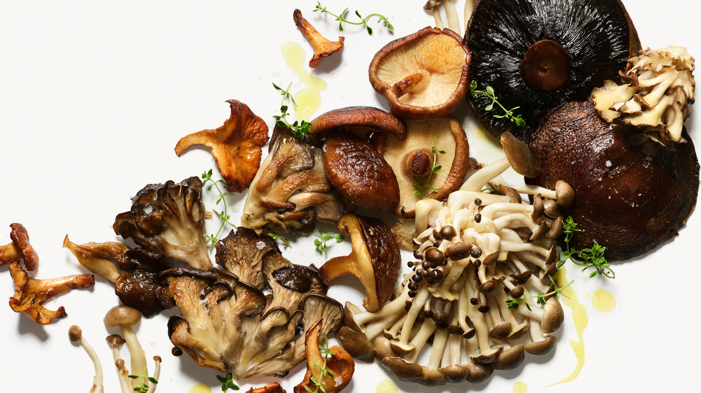 Types of Mushrooms Chanterelle, Oyster & More Whole Foods Market