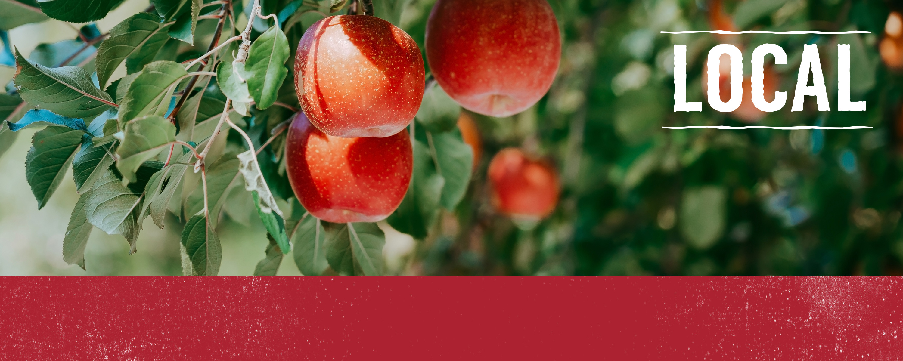 Virginia Whole Foods Market