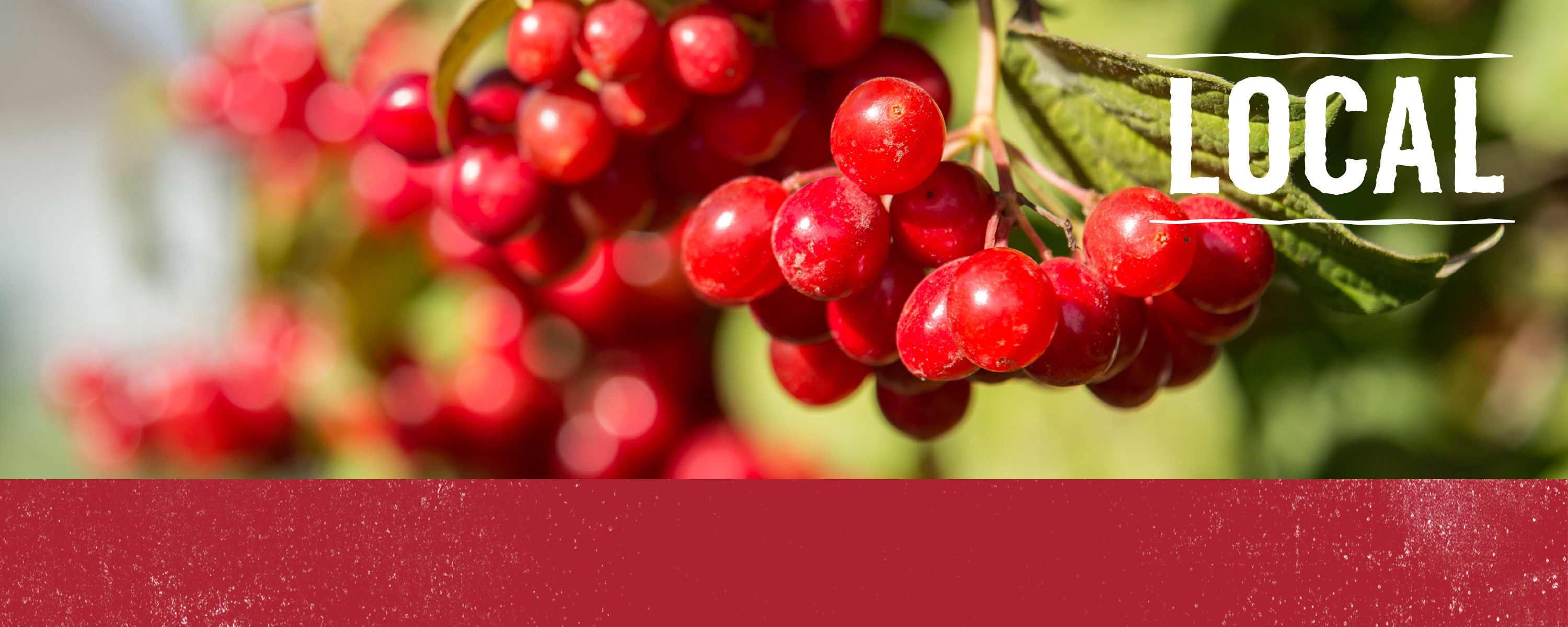 Massachusetts Whole Foods Market