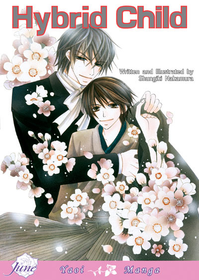 Hybrid Child DVD 全4巻 特典付き ＢＬ Hybrid Child DVD 全4巻 特典付き BL