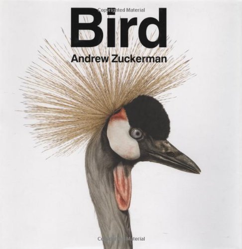 Bird 〈Andrew Zuckerman〉大型本 Bird by Andrew Zuckerman | Goodreads
