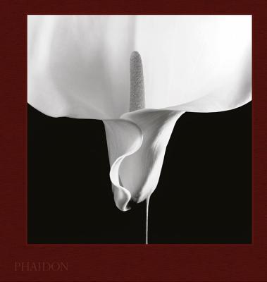 大値下【極品】Mapplethorpe The Complete Flowers Robert Mapplethorpe: The Complete Flowers | Photography Book