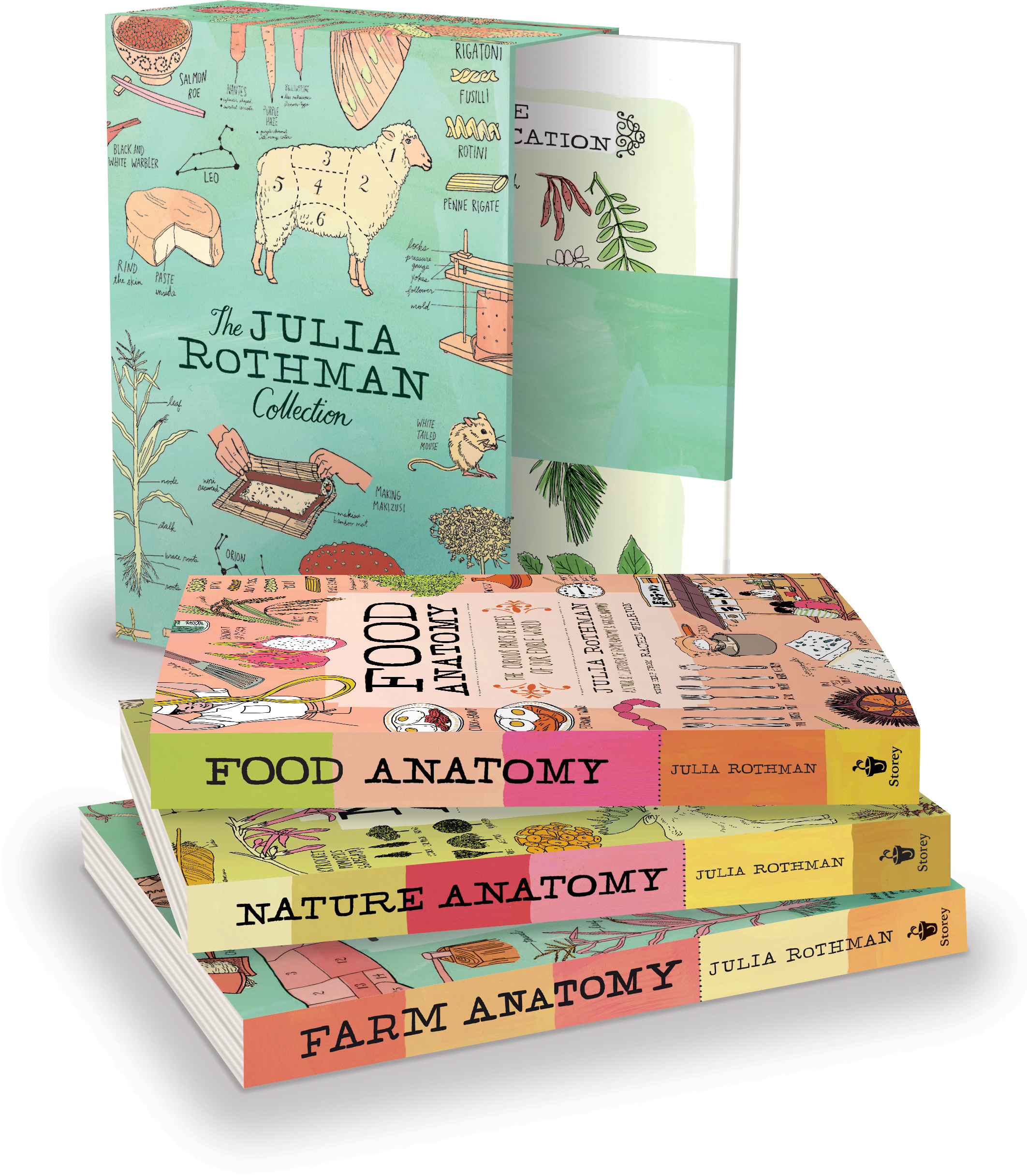 洋書 The Julia Rothman Collection The Julia Rothman Collection: Farm Anatomy, Nature Anatomy