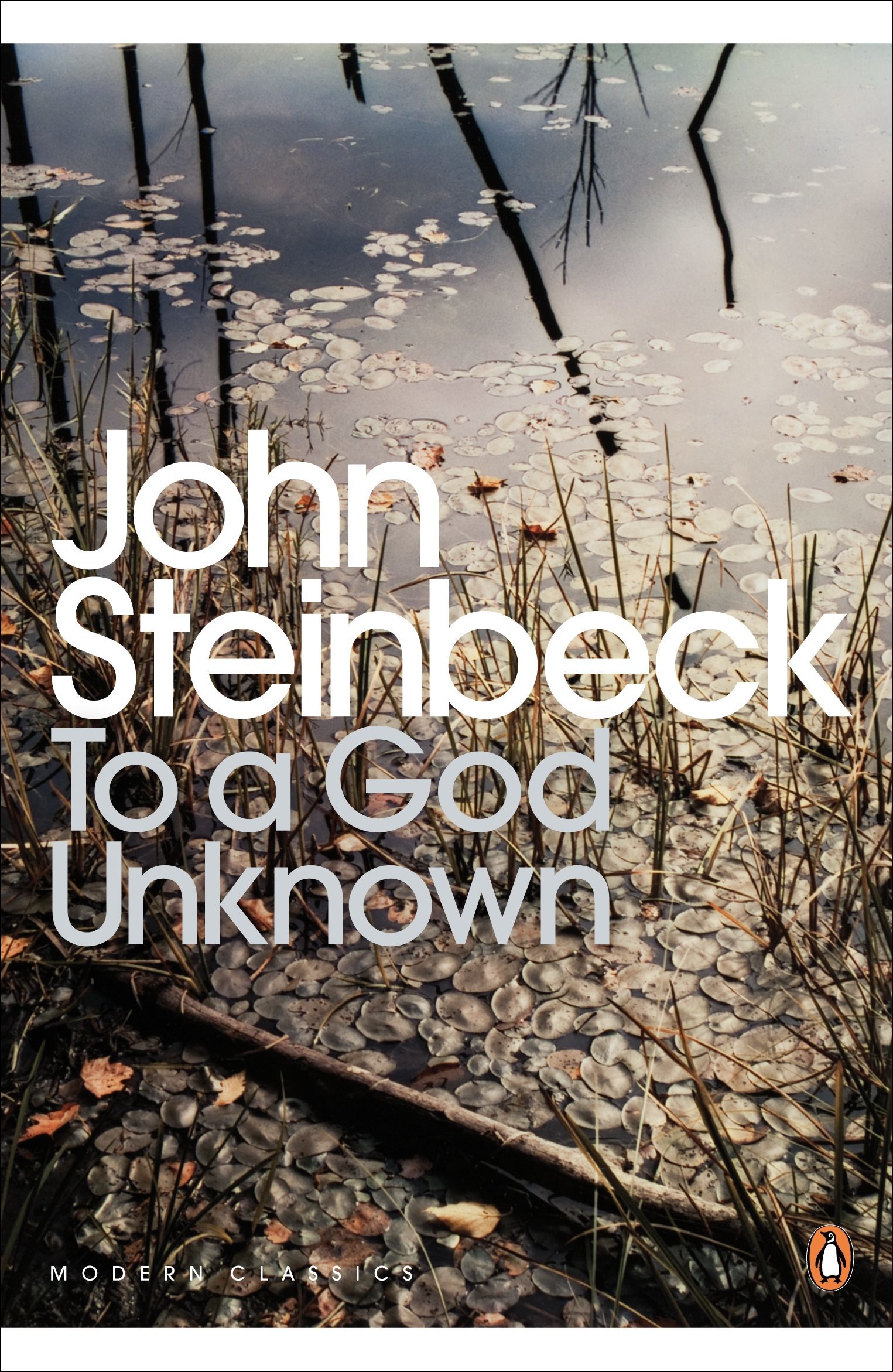 To a God Unknown Book Cover
