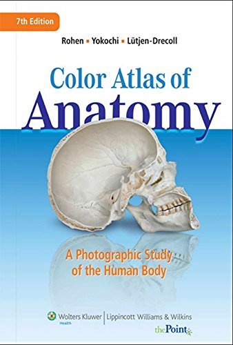 Anatomy A Photographic Atlas 第8版 Anatomy: A Photographic Atlas, 8ed, BY W. Rohen, C. Yokochi