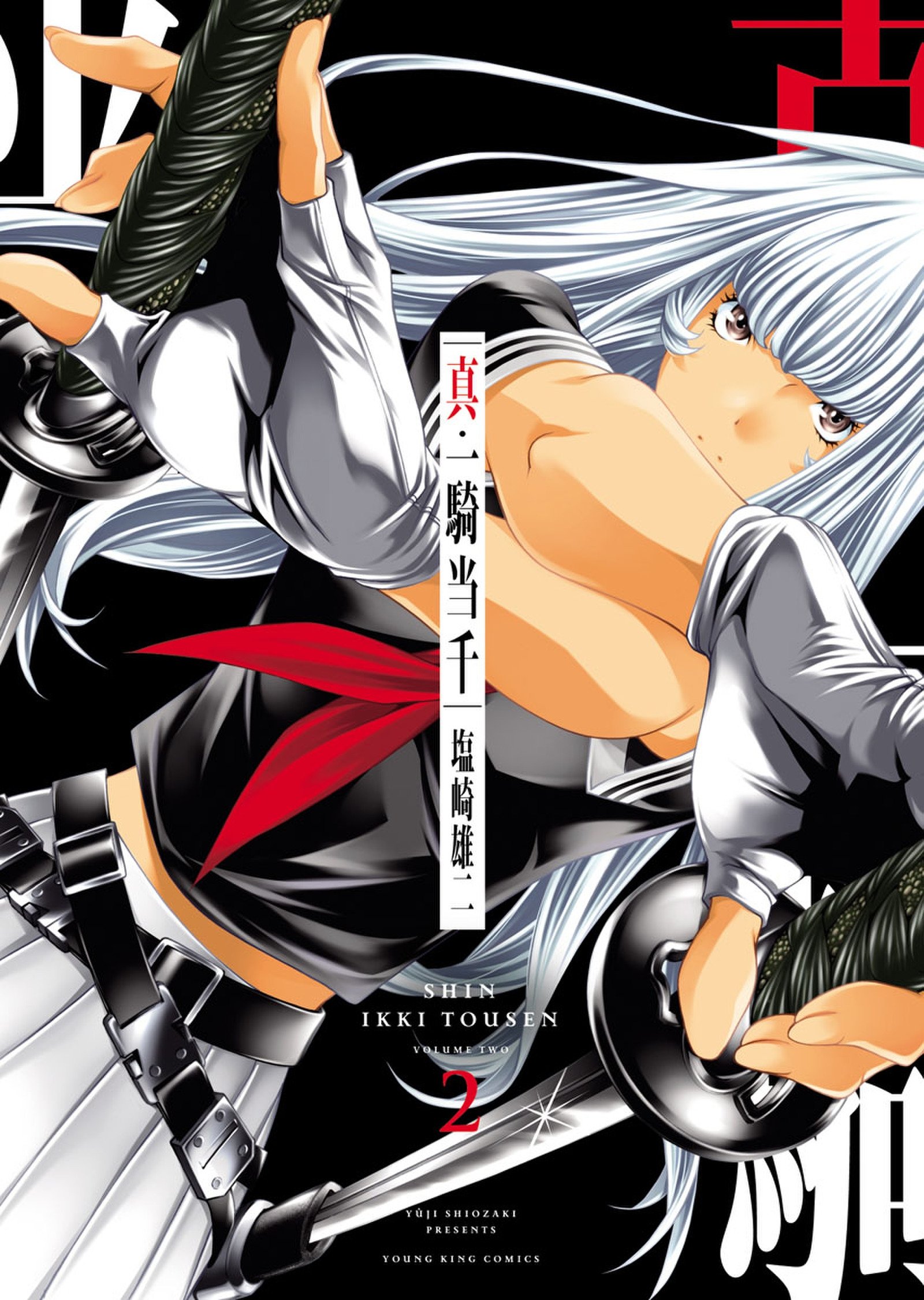 真・一騎当千 2 (ヤングキングコミックス; Shin Ikkitousen, #2