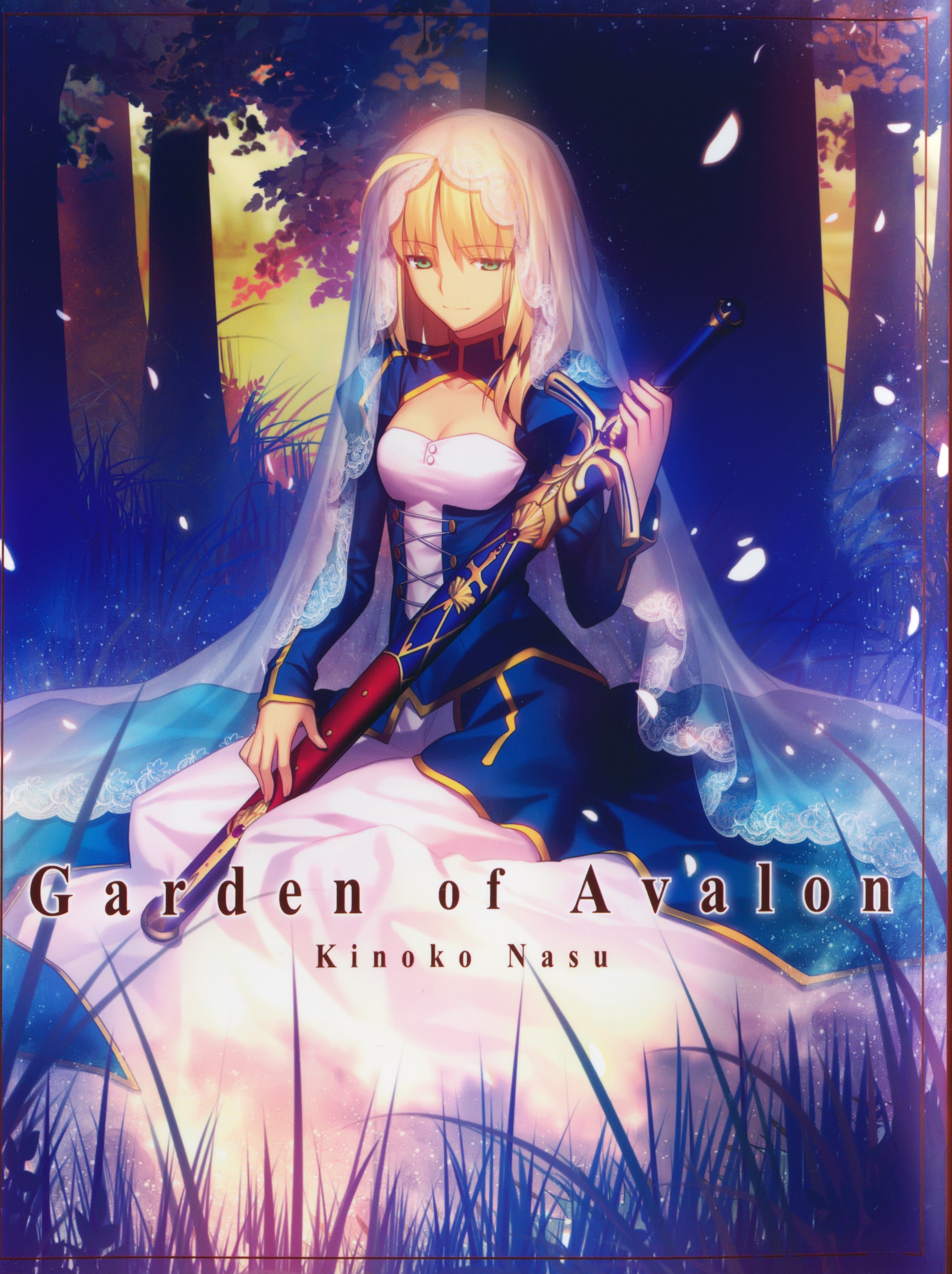 Fate/staynight 奈須きのこ 小説 Garden of Avalon Amazon.co.jp: Fatestaynight 奈須きのこ 小説 Garden of Avalon