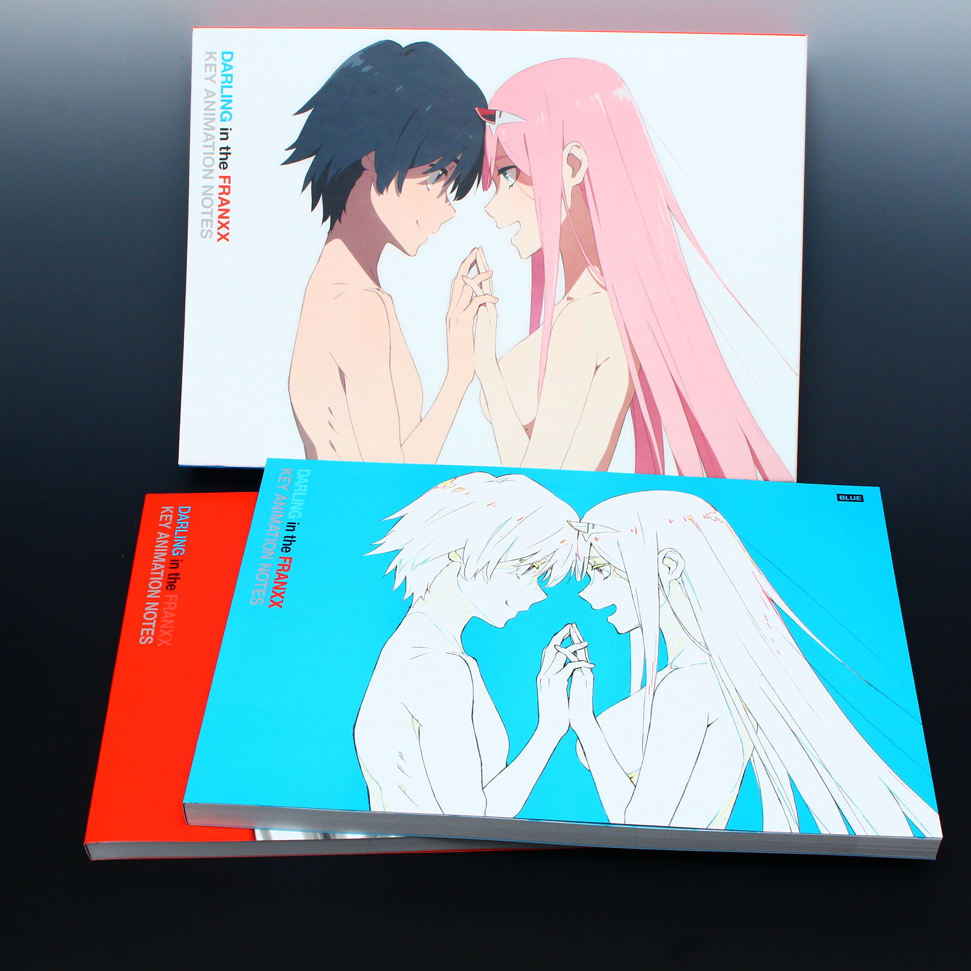 アニメ DARLING in the FRANXX KEY ANIMATION NOTE Darling in the FranXX Key Animation Notes by Trigger | Goodreads