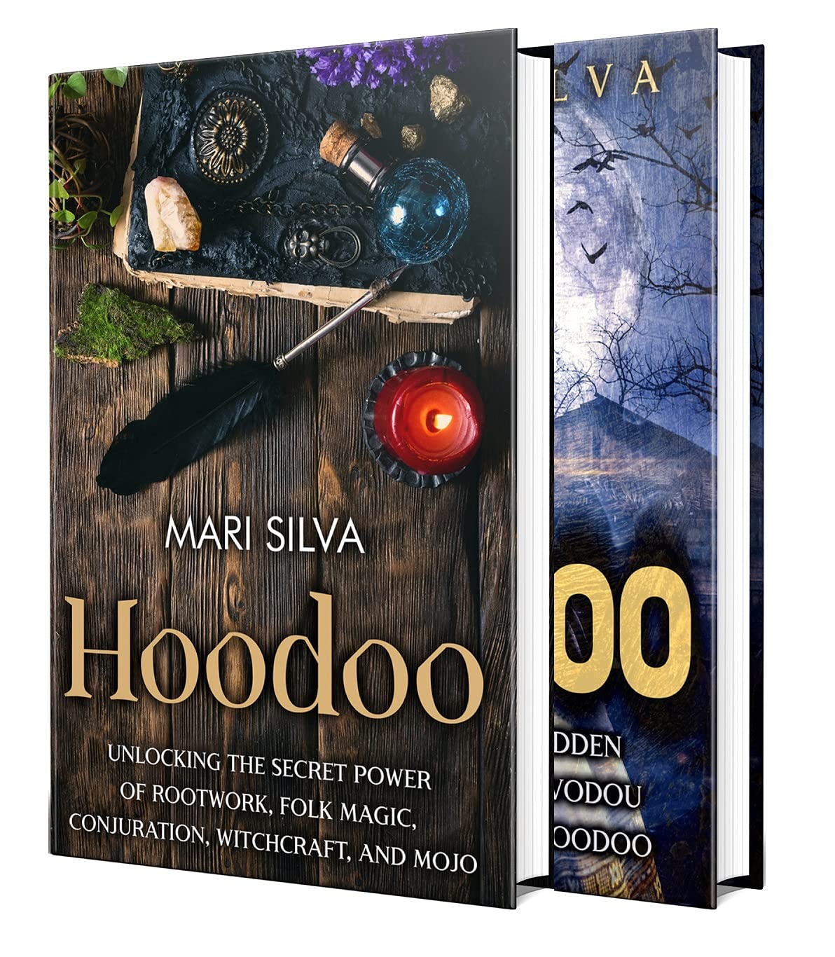 Hoodoo and Voodoo: Secrets of Folk Magic, Rootwork, Witchcraft