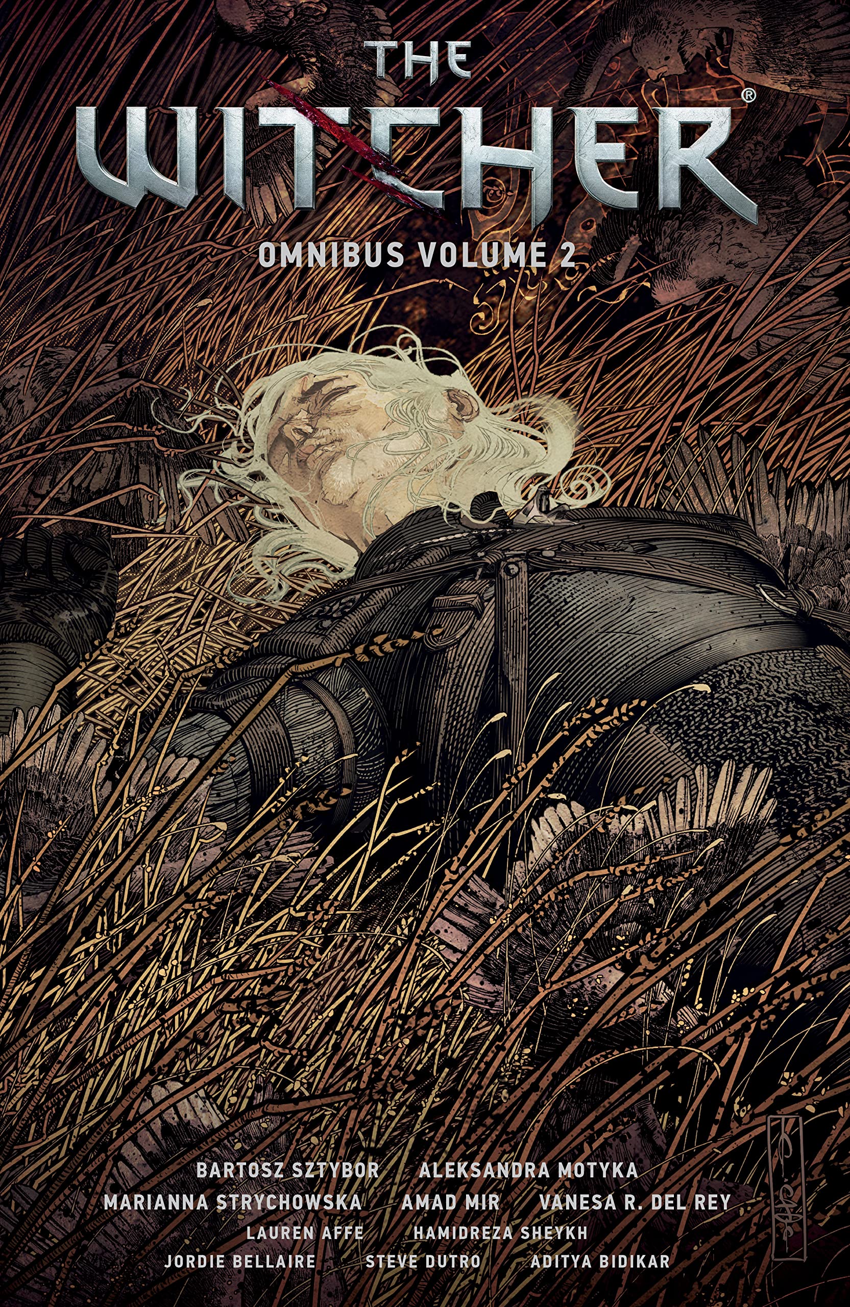 The Witcher Omnibus, Volume 2