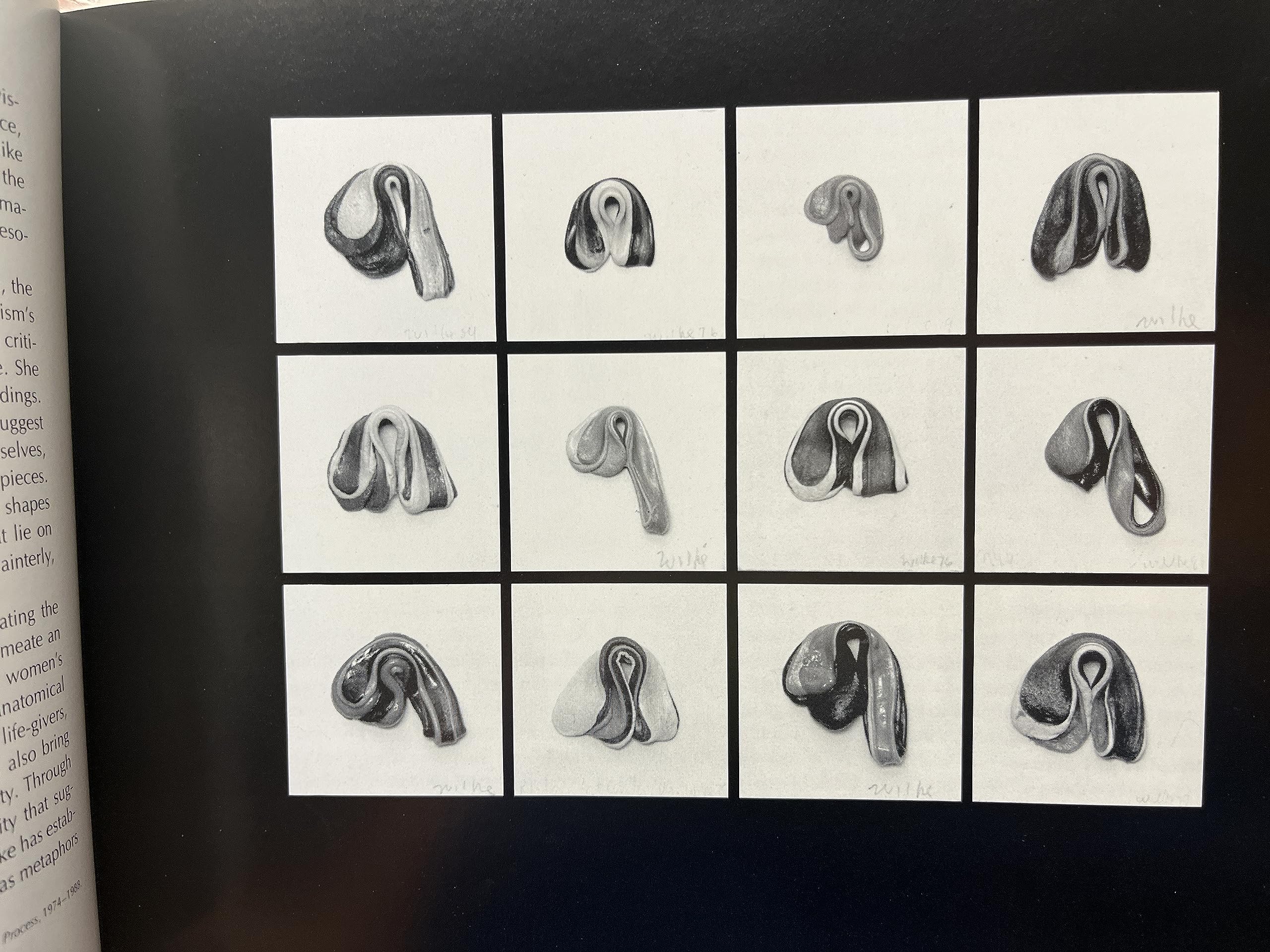 Hannah Wilke, a retrospective by Hannah Wilke | Goodreads