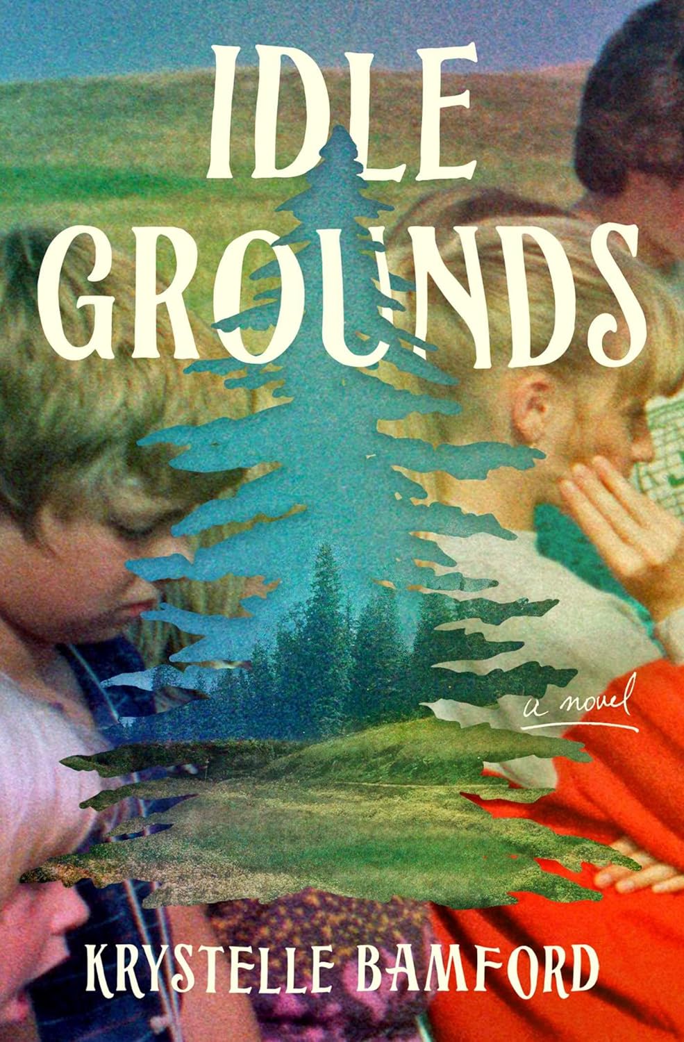 Cover of Idle Ground