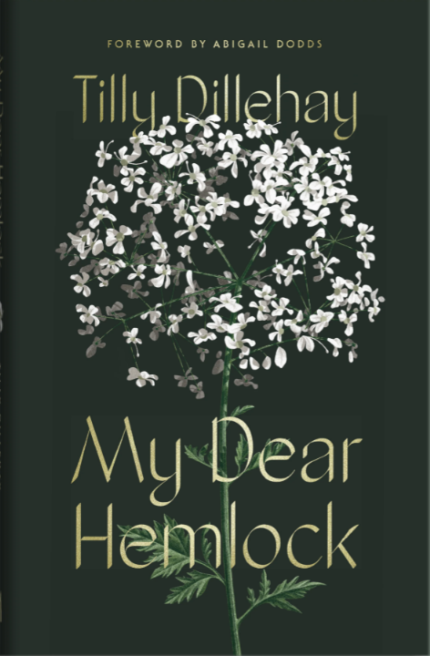 Demons An Eyewitness Account by Howard O. Pittman | Goodreads