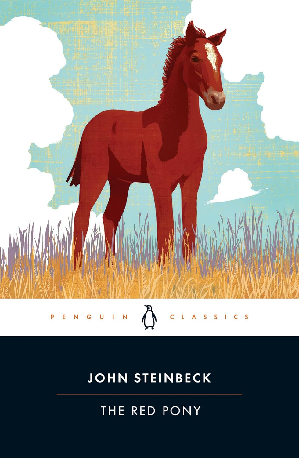 The Red Pony Book Cover