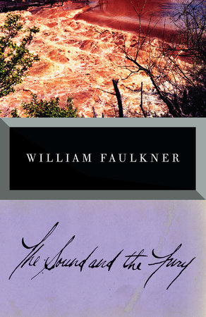 The Sound and the Fury Book Cover