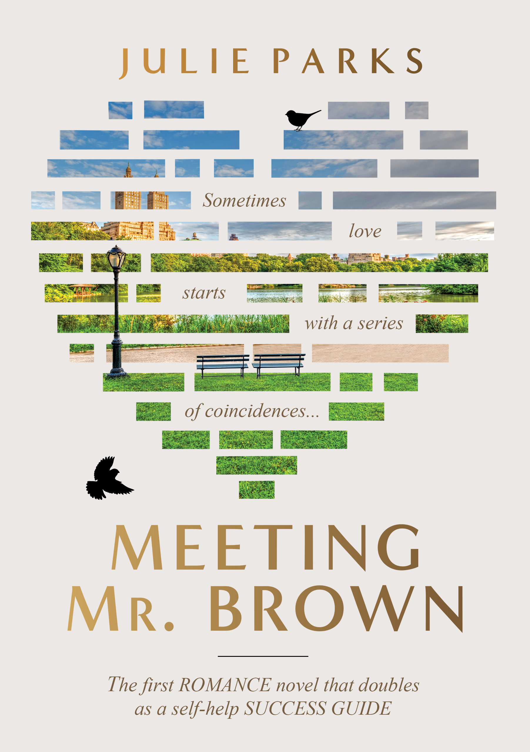 Meeting Mr. Brown: The first ROMANCE novel that doubles as a self-help SUCCESS GUIDE