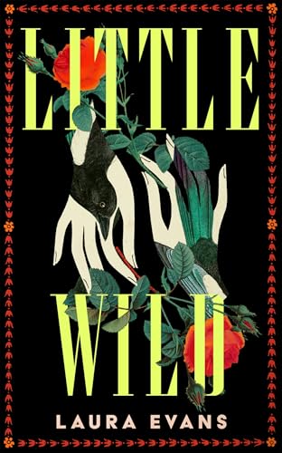 Little Wild: The Hypnotic Historical Debut