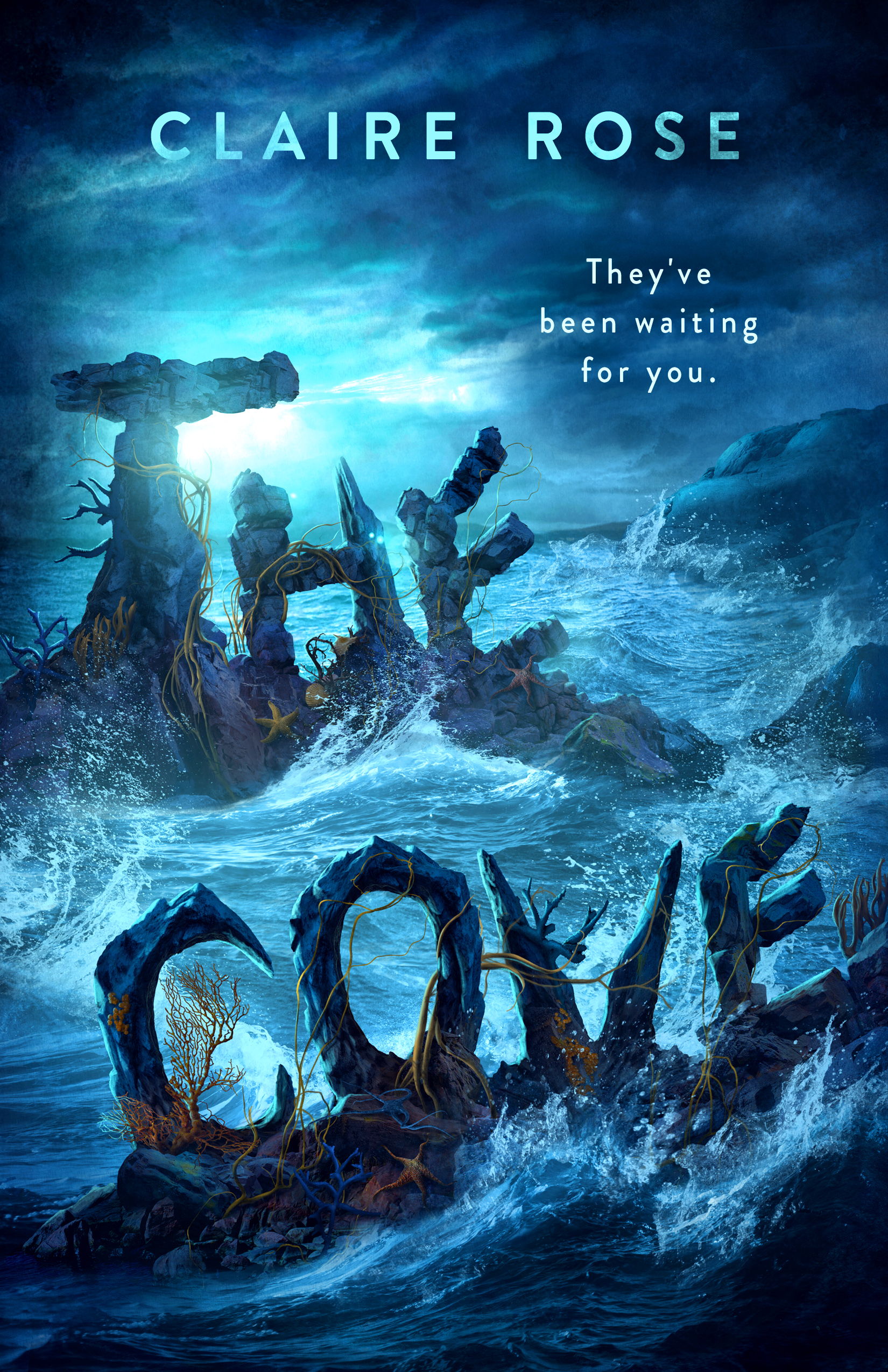 The Cove Book Cover