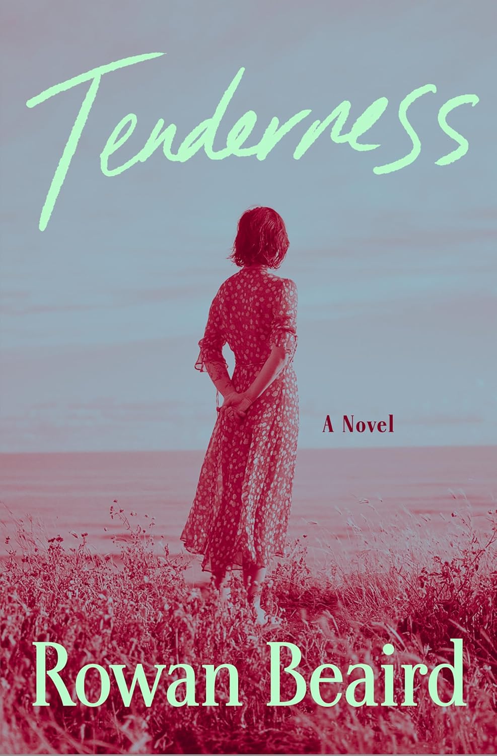 Tenderness: A Novel