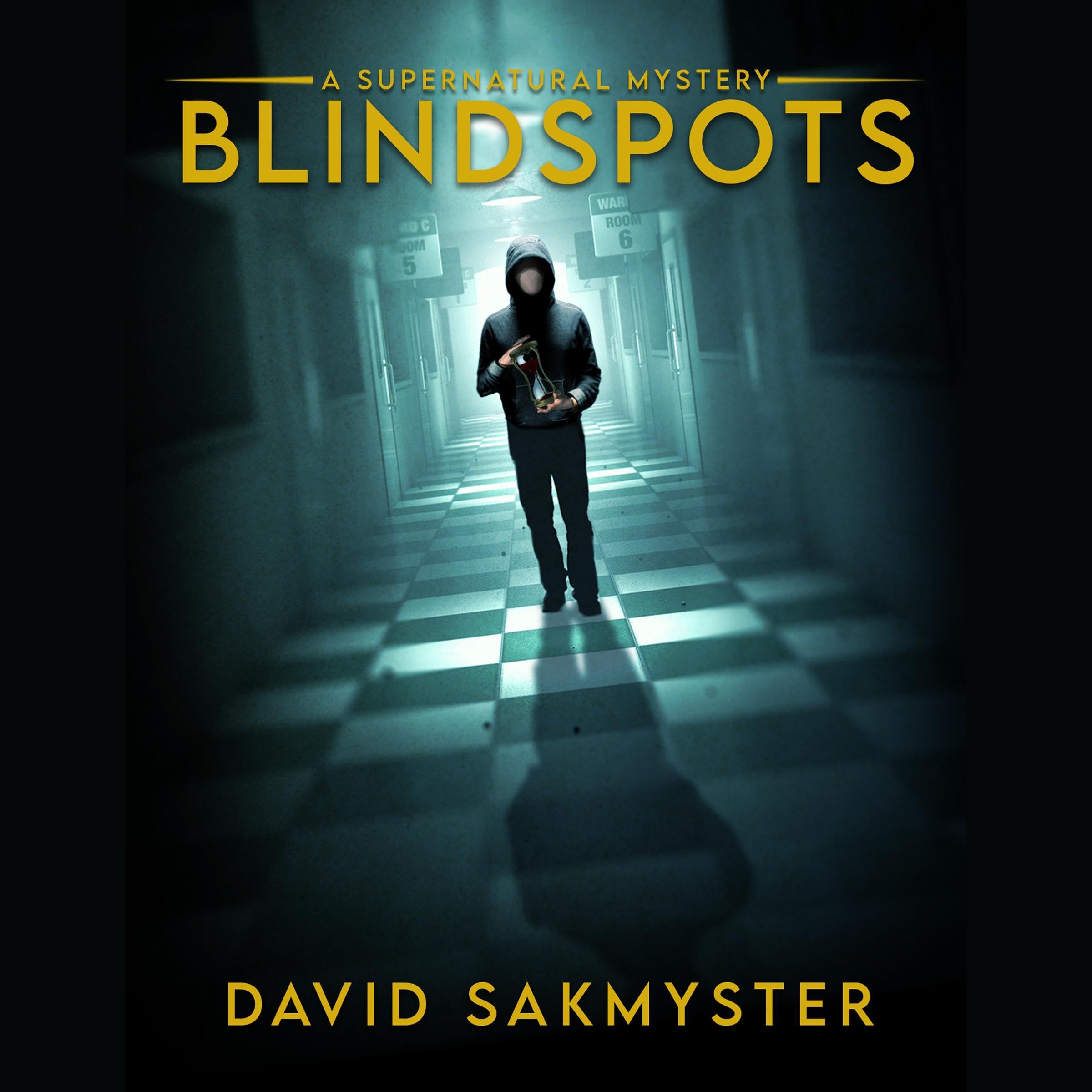 Blindspots book cover