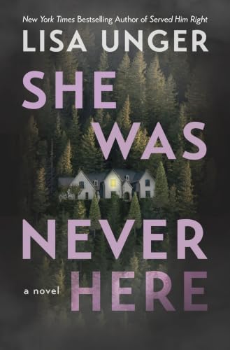 She Was Never Here book cover